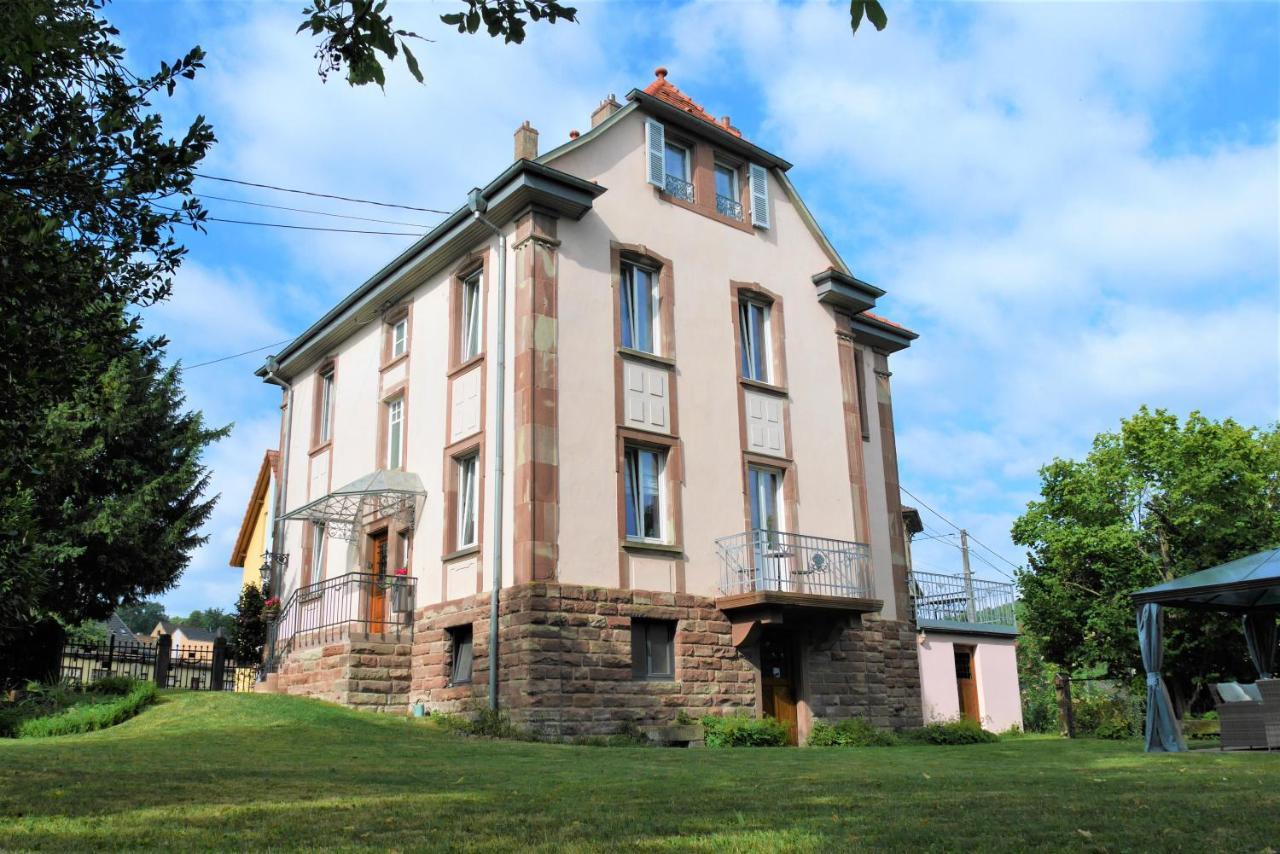 Le Jardin Des Roses Appartement Saverne Buitenkant foto