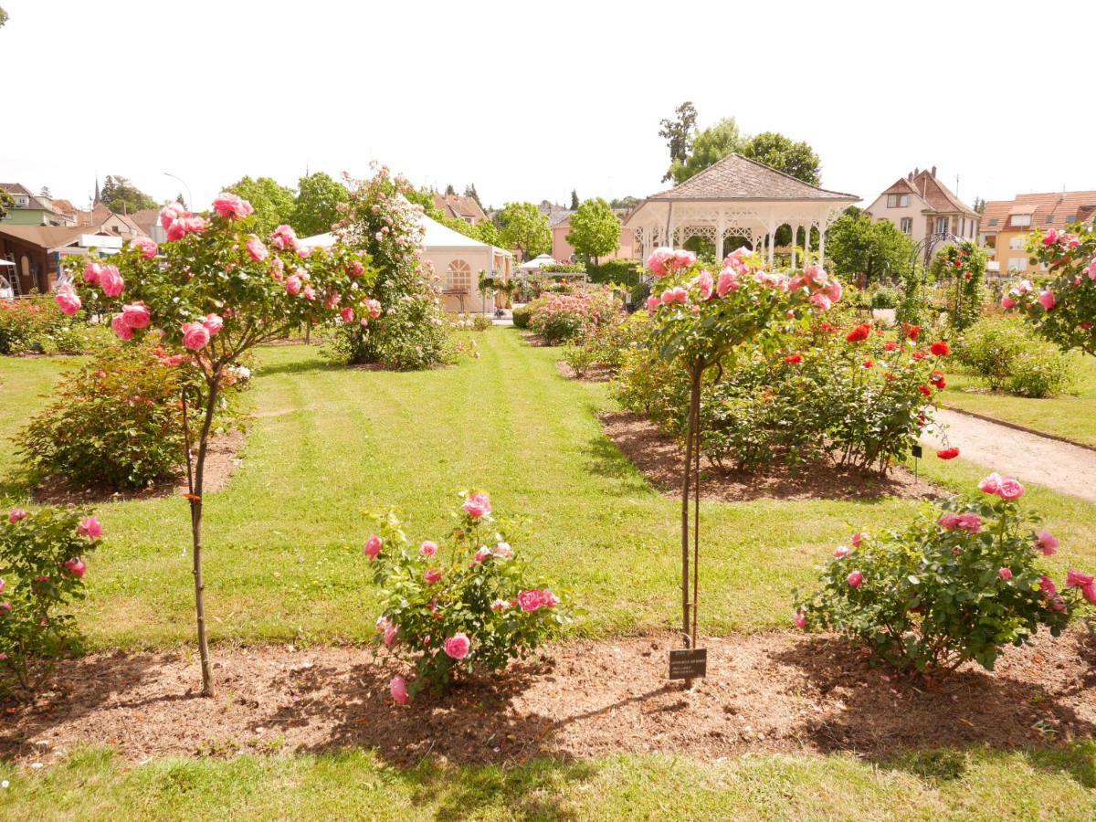 Le Jardin Des Roses Appartement Saverne Buitenkant foto