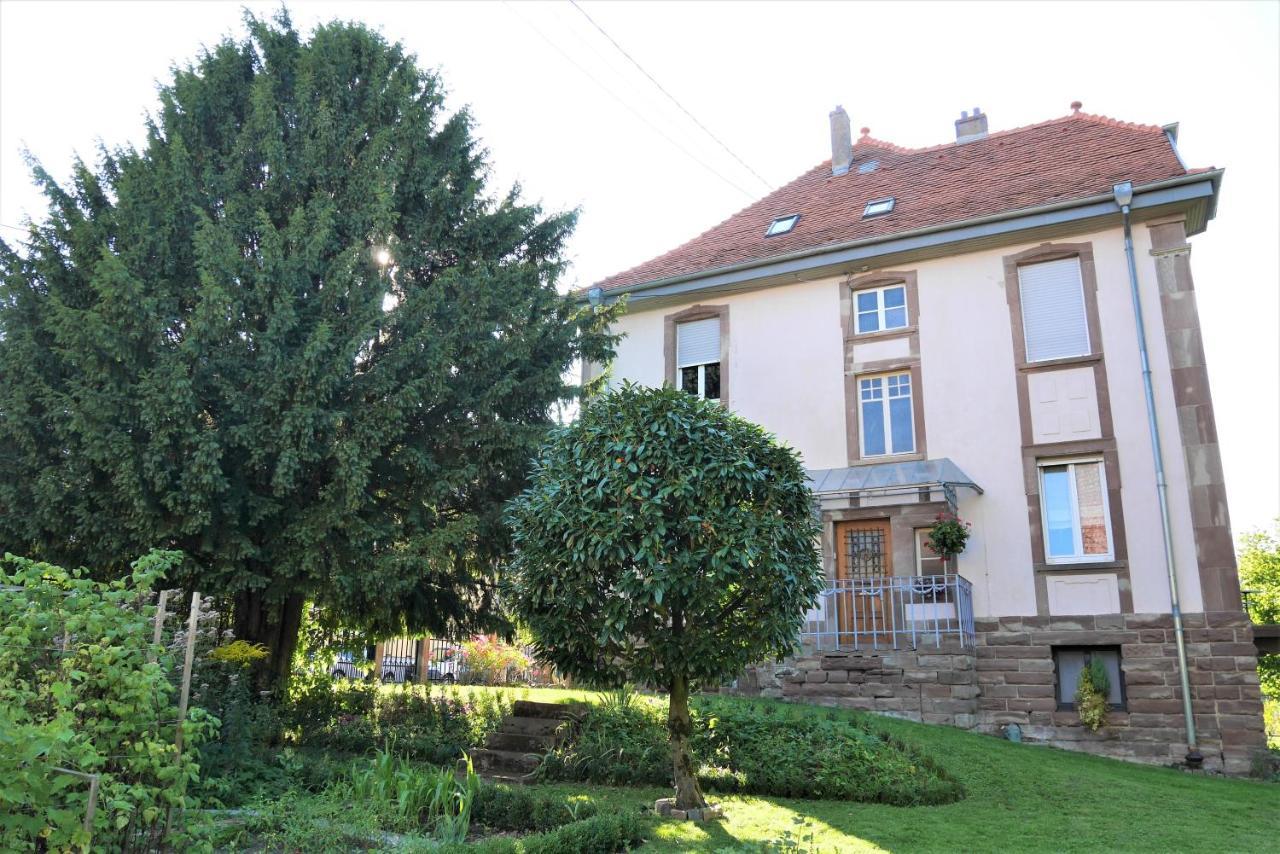 Le Jardin Des Roses Appartement Saverne Buitenkant foto
