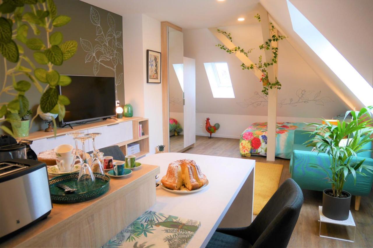 Le Jardin Des Roses Appartement Saverne Buitenkant foto