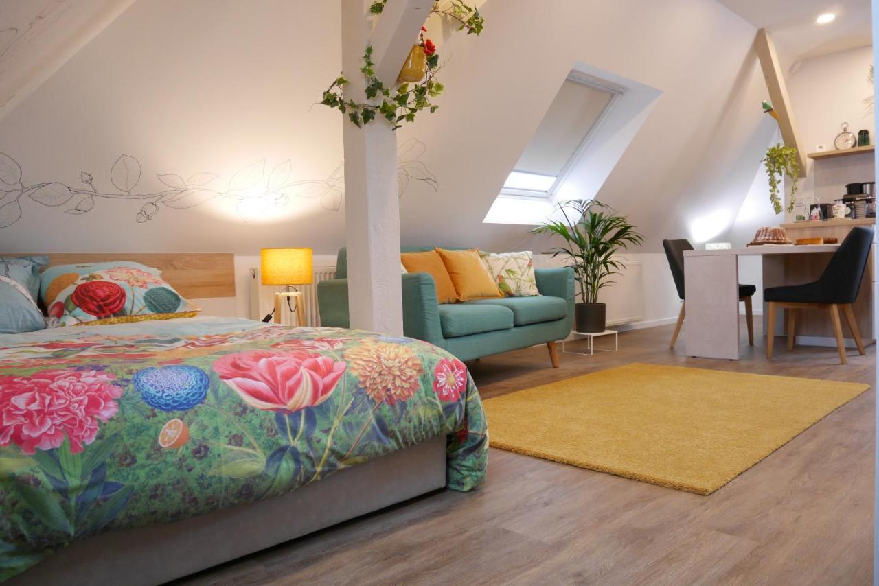 Le Jardin Des Roses Appartement Saverne Buitenkant foto