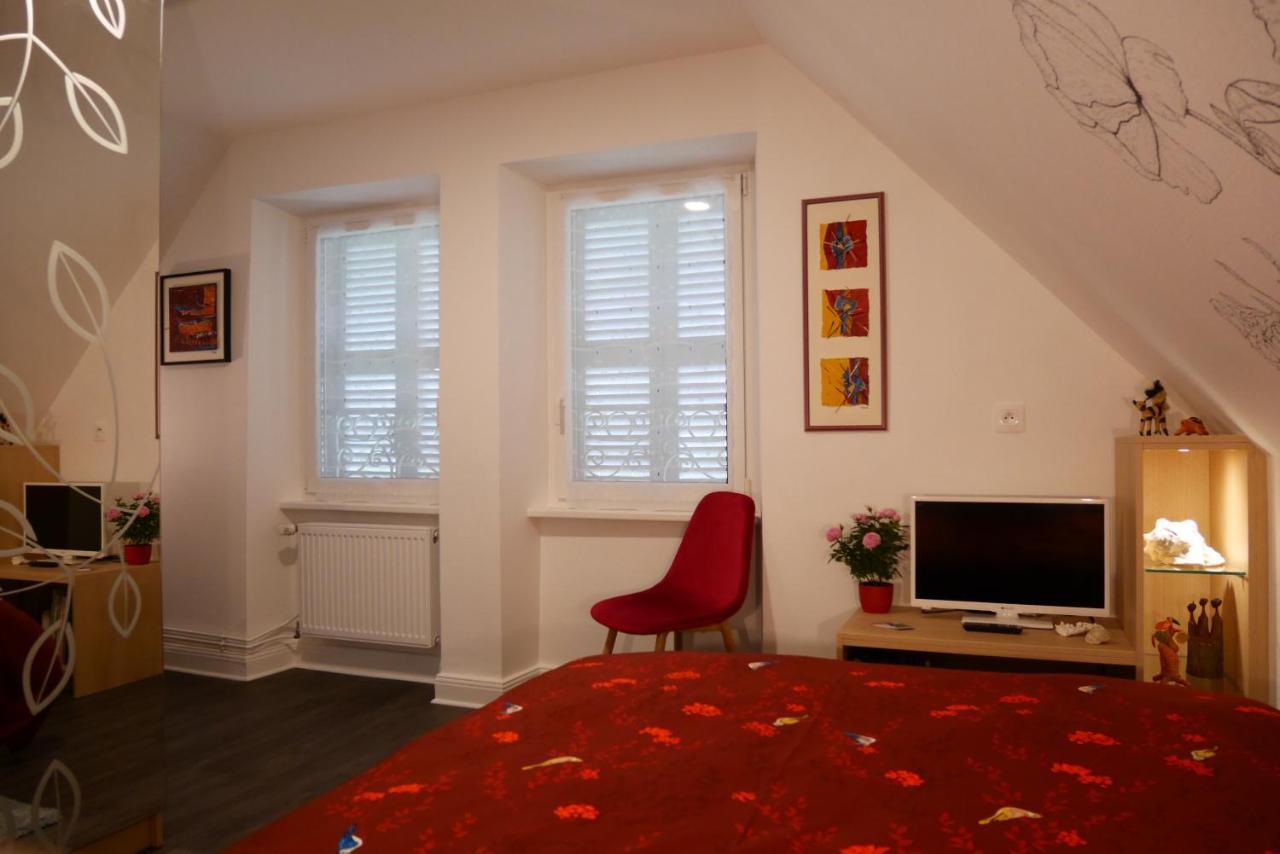 Le Jardin Des Roses Appartement Saverne Buitenkant foto