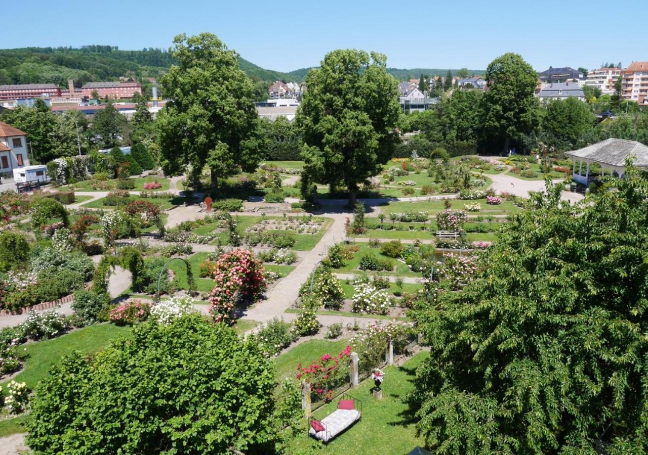 Le Jardin Des Roses Appartement Saverne Buitenkant foto